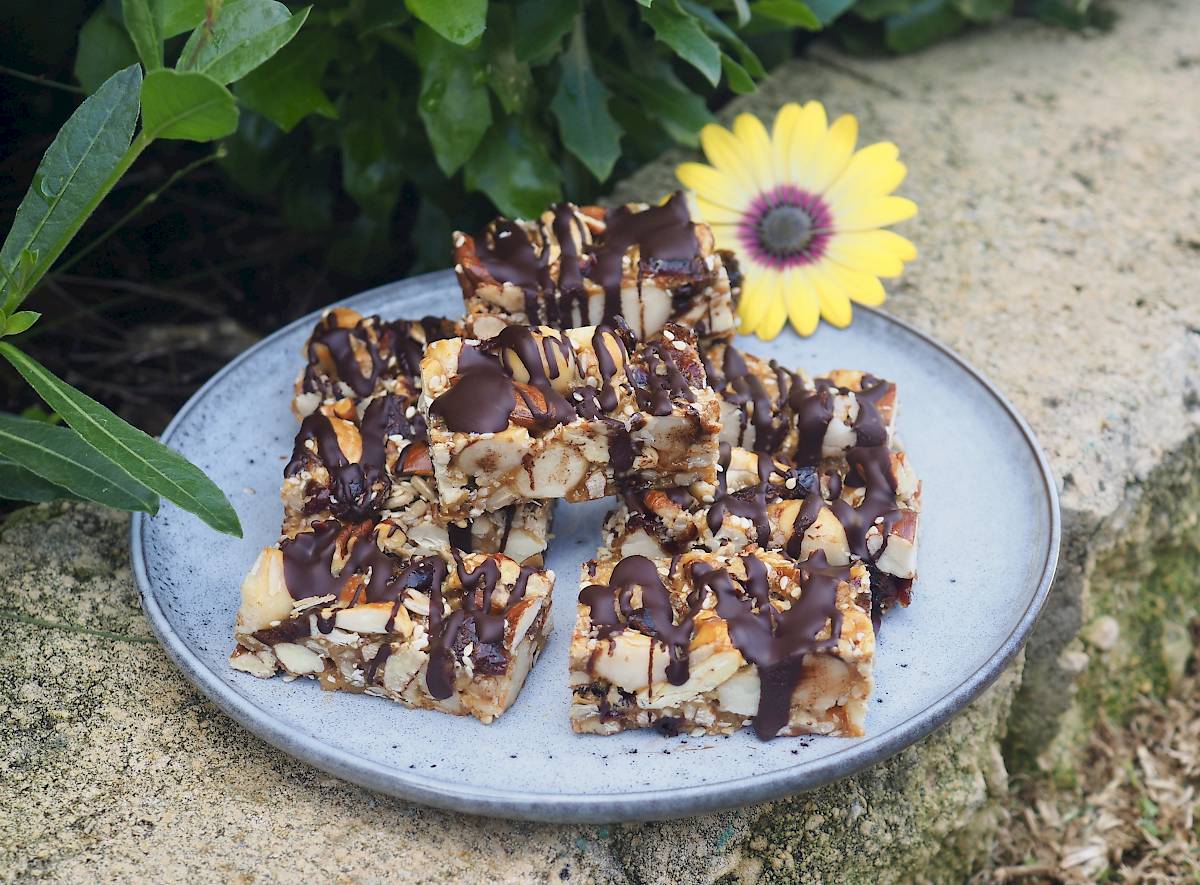 Nut and Cranberry Bars | Paleo | Gluten-free | The JOYful Table